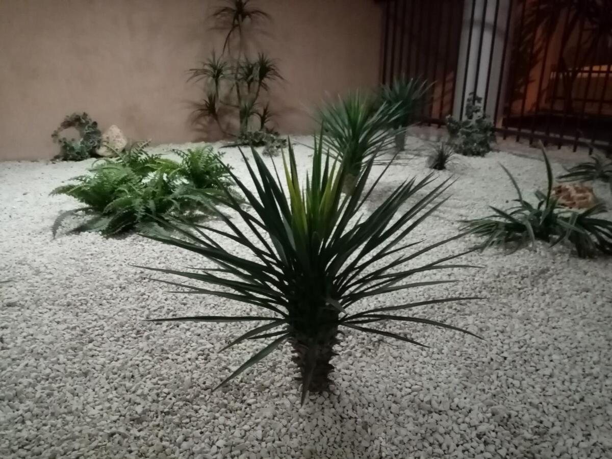 Centre Cannes, Piscine, Climatisation Apartamento Cannes